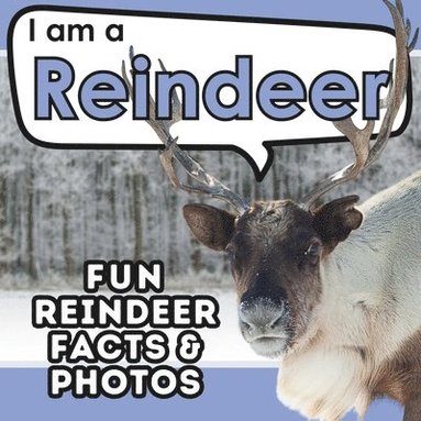 bokomslag I am a Reindeer