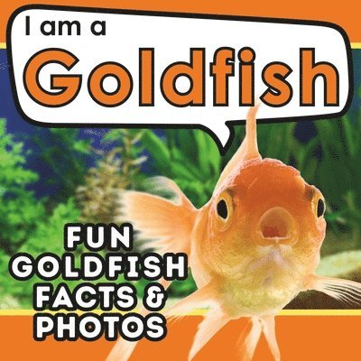 I am a Goldfish 1