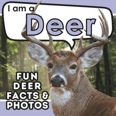 I am a Deer 1