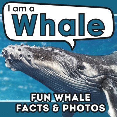 I am a Whale 1