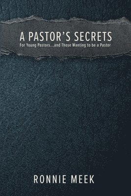 bokomslag Pastor's Secrets