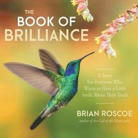 bokomslag The Book of Brilliance