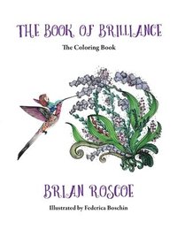 bokomslag The Book of Brilliance