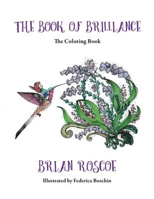 bokomslag The Book of Brilliance