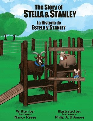 bokomslag The Story of Stella & Stanley