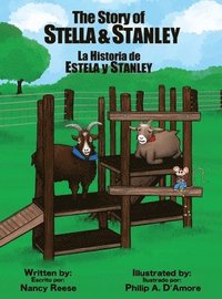 bokomslag The Story of Stella & Stanley