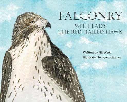 Falconry, With Lady the Red-Tailed Hawk 1