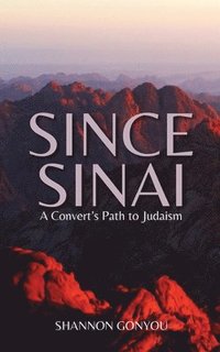 bokomslag Since Sinai