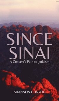 bokomslag Since Sinai