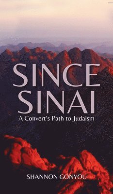 bokomslag Since Sinai