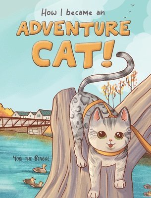 How I became an Adventure Cat! 1