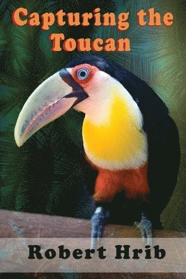 bokomslag Capturing Toucan