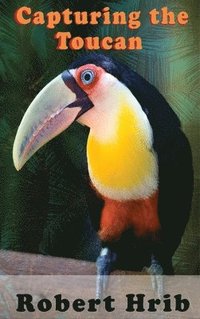 bokomslag Capturing Toucan