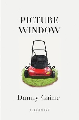 Danny Caine - Picture Window, Häftad