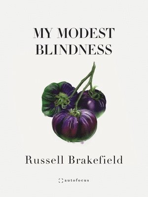 bokomslag My Modest Blindness