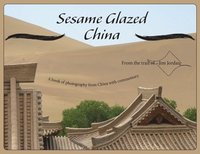 bokomslag Sesame Glazed China