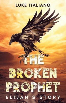 bokomslag Broken Prophet