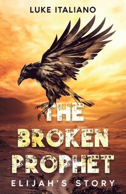 bokomslag The Broken Prophet