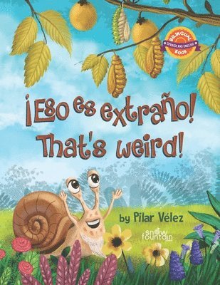 ¡Eso es extraño! That's weird!