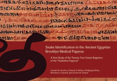 bokomslag Casewell: Snake Identification in the Ancient Egyptian Brook