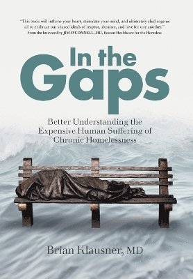 bokomslag In the Gaps