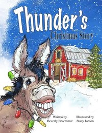 bokomslag Thunder's Christmas Story