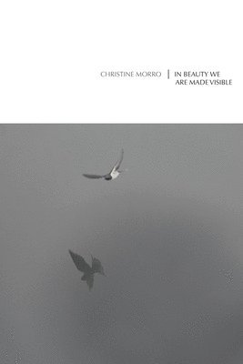 In Beauty We Are Made Visible