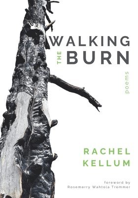 Walking the Burn