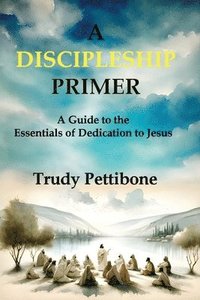 bokomslag Discipleship Primer