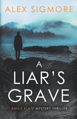 bokomslag Liar's Grave