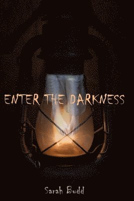 bokomslag Enter the Darkness