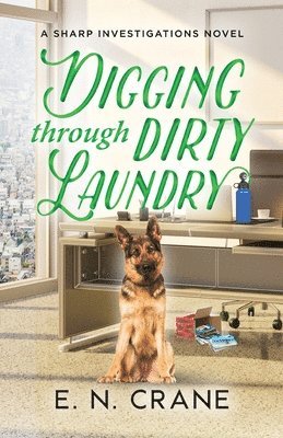 bokomslag Digging Through Dirty Laundry: A Raunchy Small Town Mystery