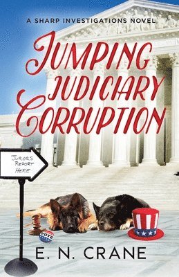 bokomslag Jumping Judiciary Corruption