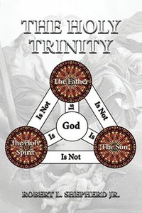 bokomslag The Holy Trinity