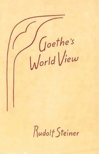 bokomslag Goethe's World View