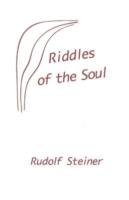 bokomslag Riddles of the Soul