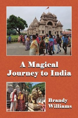 bokomslag A Magical Journey to India