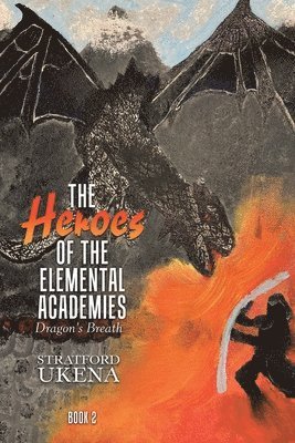 bokomslag Heroes of The Elemental Academies