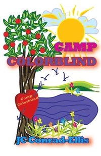 bokomslag Camp Colorblind