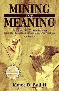 bokomslag Mining for Meaning