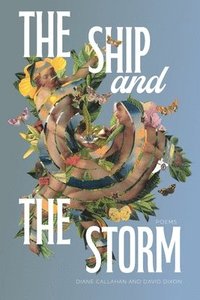 bokomslag The Ship and the Storm