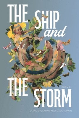 bokomslag The Ship and the Storm