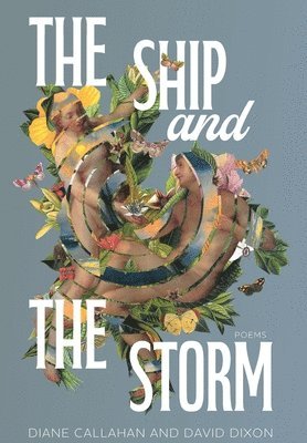 Diane Callahan, David Dixon - Ship and the Storm, Inbunden