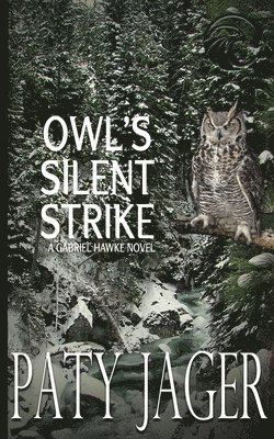 Owl's Silent Strike 1