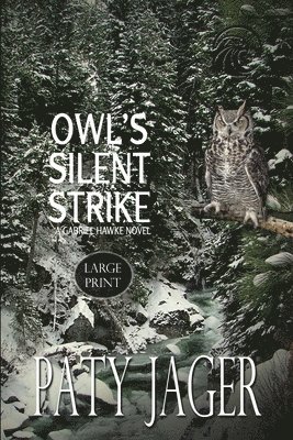 bokomslag Owl's Silent Strike LP