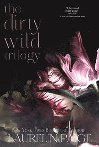 bokomslag Dirty Wild Trilogy