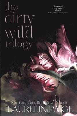 bokomslag Dirty Wild Trilogy