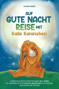 bokomslag Auf Gute-Nacht-Reise mit Kalle Kaninchen