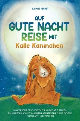 Auf Gute-Nacht-Reise mit Kalle Kaninchen 1