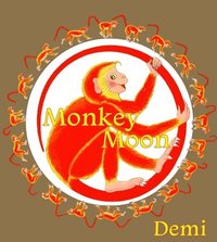 bokomslag Monkey Moon